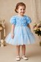 Baby Girl Birthday Party Wedding Dress Short Sleeve Rose Bow Tulle Tutu Lined - 4