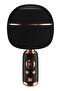 Superstar Dynamic Karaoke Microphone