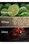 CITRUSY VETIVER - Inspired-EXPLORER. EXTREME, Perfume For Men - EDP 50ml, Woody Amber Fragrance - 3