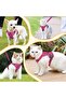 GlasFlength Cat Harness with Lead, Escape Proof Cat Lead with Harness for Cats Adjustable Cat Harness Soft Harness with Reflective Stripes (S Size) - 7