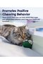 Lil' Avocato Dental Health Cat Chew Toy 67840 - 6