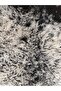 Natural, Unprocessed, Never Sheared Natural Sheepskin, Carpet, Prayer Mat 105X70 cm - 4