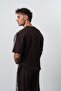 Men's Regular Fit T-Shirt with Stripe Detail, Brown - 3
