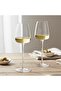 2-Piece Wine Glass Set 310mL, Crystal Clear Wine Glass, Ultra Thin, Best for Wine tasting,Pecfect for Red or White Wine - 3