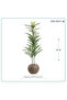 Artificial Areca Tree with Round Plastic Base { 3 Branches } - 4