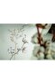 Dantel a Moneda Embroidered Cotton Satin Double Duvet Cover Set (with 4 Pillowcases)-Cream - 3