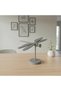Modern Style Dragonfly Wall Decor - 3