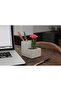Concrete Desktop Planter, Small (PL02-S) - 4