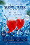 350 ml Glass with Straw Set of 2 |   Cold Drink Cup |   Transparent Modern Design - 3