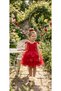 Girl's Red Tutu Evening Dress with Butterfly Special Occasion Birthday Dress - 4