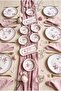 Verna Pink 14 Piece Breakfast Set for 6 People, Luxury Breakfast Set - 4