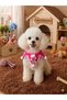 For Our Little Friends, Crocheted Hand-Knitted - Fuchsia - with Pompoms and Teddy Bear Figures (Cat & Dog Accessory) - 4