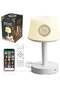 Quran Speaker Desk Lamp with Azan Reminder, Bluetooth, 5W HD Speaker & Multi-Color Light
