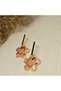 Earrings - Pumpkin with gold accessory - 3