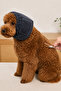 Fluffy Dog Ear Protection Bandana – for Shaving, Blow-Drying, Loud Environments, and Stressful Settings - Size S - 6