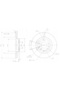 TARCZA HAM. MAZDA P. 6 08- - 8