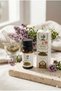 Thyme Oil 10 ml |   100% Natural Thyme Essential Oil |   Pure and Without Additives |   Herbal Oil for Aromatherapy, Steam, Massage, and Skin Care - 4