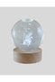 Aconcept the Little Prince and (225812) the Rose Globe - 2