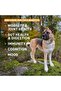 SynergyLabs Senior Support Soft Chews for Dogs 30 Count 90g - 3