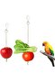 2-Pack Bird Vegetable Feeders with Stainless Steel Fruit Skewers