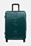 20 Inch Brand Logo Cabin Spinner Luggage, Green