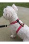 Dog Chest Harness Adjustable Small & Small Breed H Type Column Cord Pink & Black - 3