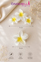 Set of 2 Matte White Yellow Ombre Floral Lotus Hair Clips - Summer Plumeria Flower Hair Clips - 3