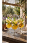 Set of 3 Double-Necked Plain Glass Soft Drink Glasses - Modern Design Cold Drink - 5