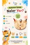 Ressam Cat - 2