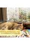 Japanese Technology 3D Static Glass Foil Film/Width: 46 cm X Length 1 Mt -Hg05 - 4