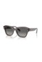 Rb2186 State Street Sunglasses 49mm