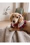 Small Breed - Ruffled Plaid Scallop Collar Dog Accessory – Premium Pet Collar with Stylish Bow - 3
