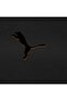 جالاتاساراي إس كيه 24/25 سترة التدريب الخاصة للرجال - 4