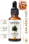 Pine Tree Oil Essential Oil 30 ml Glass Bottle with Dropper