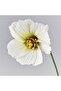 GULDSPETT Artificial flower, paper/cosmos assorted colours, 35 cm - 3