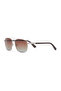 نظارات شمسية للرجال DS 2432 C4