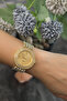 Sbgs8377-5 Women's Wristwatch - 4