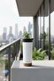 Urban Coffee Mug 590 ml Stainless Steel |   Thermos Cup White - 3