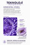 Temptation Age Return Eye Cream / Retinol and Bakuchiol Anti-Aging - 5