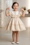 Baby Girl Dress Girls' Dress Birthday Party Wedding Dress Lace Short Sleeve Lined Dress