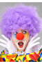 Purple Color Curly Afro Bonus Wig Toupees Hair and Red Nose Set (5263)