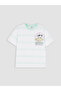 Original Oval Collar Striped Printed Boys' T-Shirt - 3