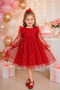 Baby Girl Dress Long Sleeve Tulle Starry Birthday Special Occasion Party Wedding Girl Dress