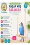 Uniq Bird Toys Wooden Bird Swing with Bells