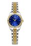 Rd213476L Women Wrist Watch with Steel Cord