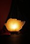 Leaf Salt Lamp Decorative Ambient Lamp with Wooden Base - 5