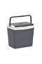 Picnic Icebox - 4