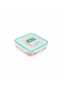 Plastic Container - 2
