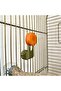 Bird Accessories Set for Cages – Fruit Fork, Stick Feeder, and Beak Stone Holder - 6