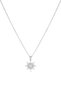316 L Stainless Steel - Anti-Allergic - Non-Tarnish Polar Star Necklace - 2
